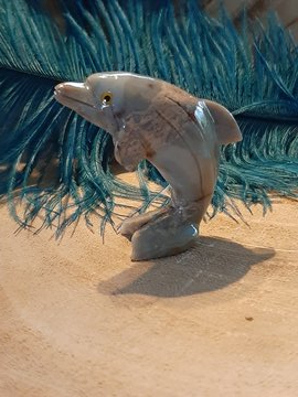 Steatiet Dolfijn
