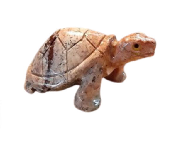Steatiet Schildpad