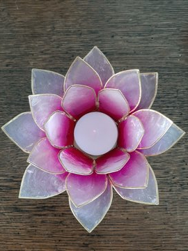 Lotus theelichthouder tweekleur wit/roze